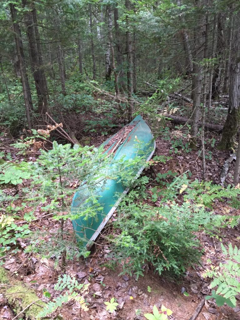 lonesome, dejected&rejected canoe, rat lake